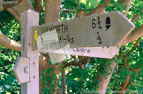 Image of Wooden Direction Signpost