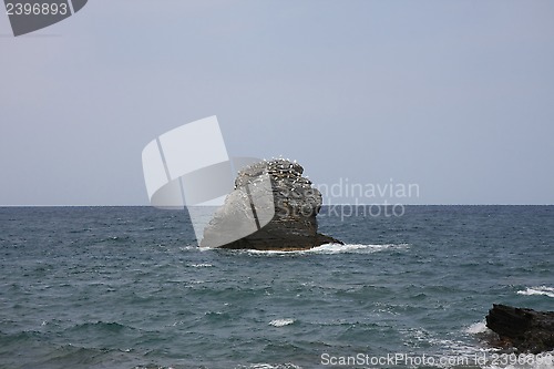 Image of Rock