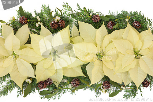 Image of Poinsettia Decorative Display