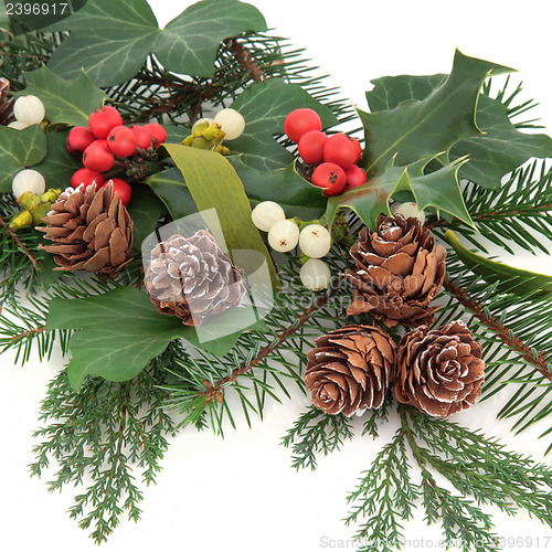 Image of Winter Flora