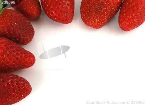 Image of Border of Strawberries