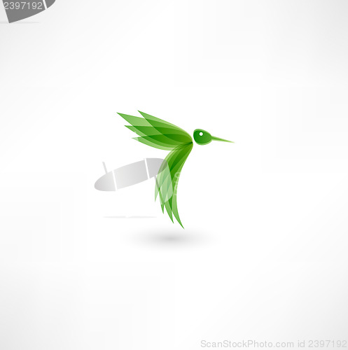 Image of Hummingbird icon