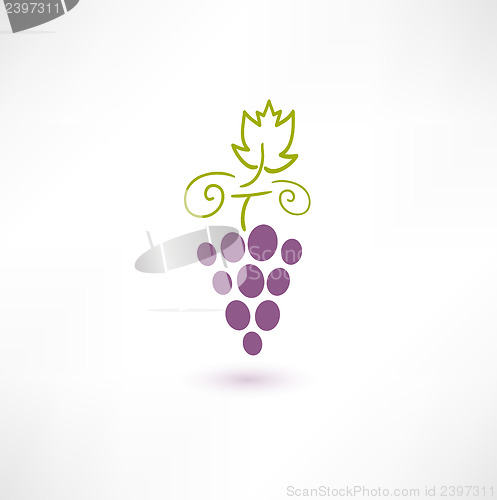 Image of Wine Grape