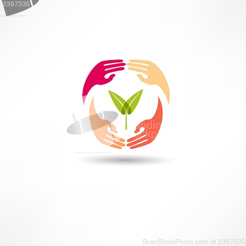 Image of Hands and plant icon