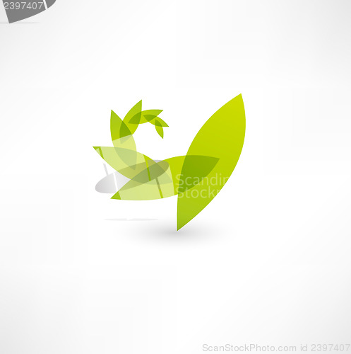 Image of Leaf nature icon