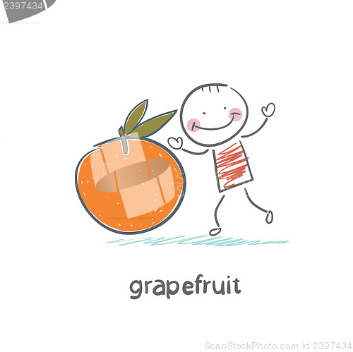 Image of Grapefruit