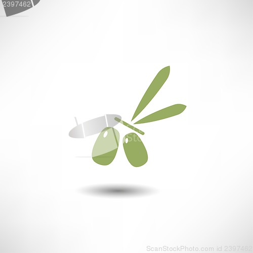 Image of Olive icon