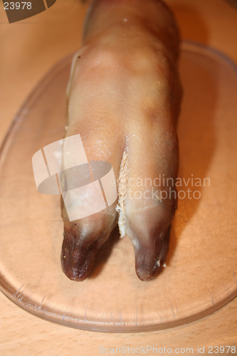 Image of Pig-foot