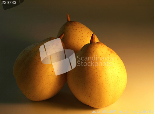 Image of three golden pears