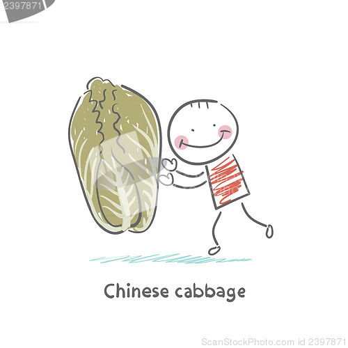 Image of Chinese cabbage and the man