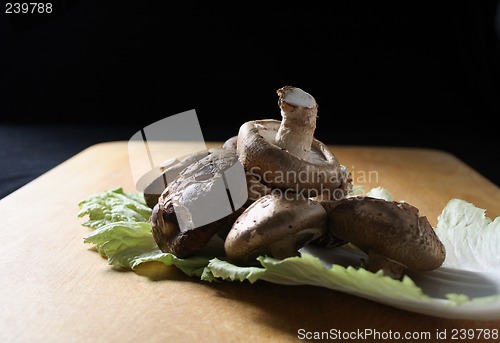 Image of fresh shiitake mushrooms on a Napa cabbage leaf