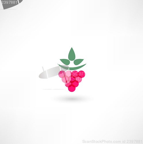 Image of raspberry icon