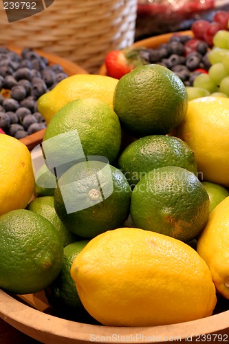 Image of Citrus Fruit