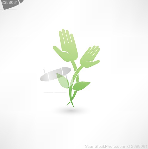 Image of Eco hand icon