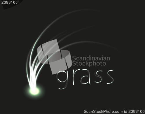 Image of grass