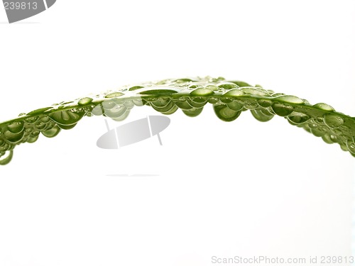 Image of water Drops
