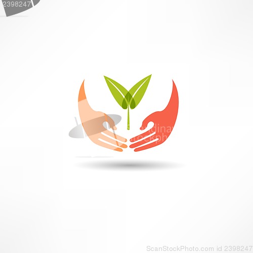 Image of Hands and plant icon