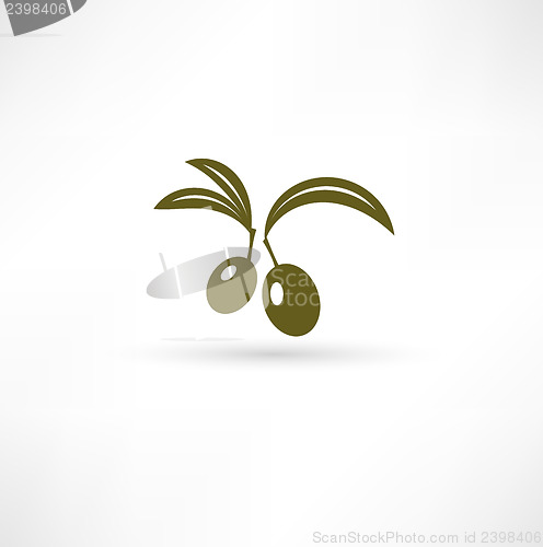 Image of Olive icon