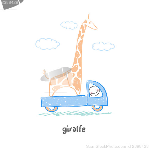 Image of giraffe