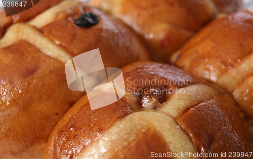 Image of Buns macro horizontal