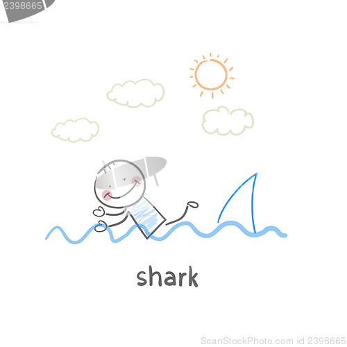 Image of shark