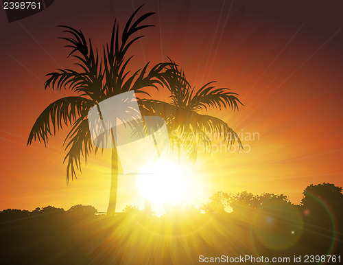 Image of Palms on Sunset