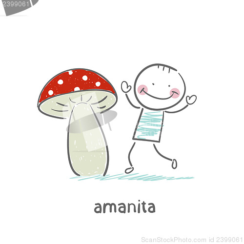 Image of Amanita and man