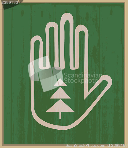 Image of Hand and spruce