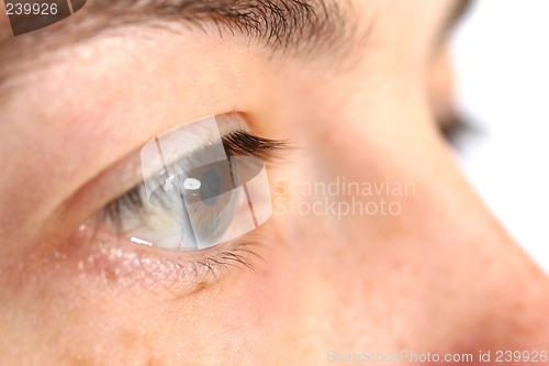 Image of Eye closeup