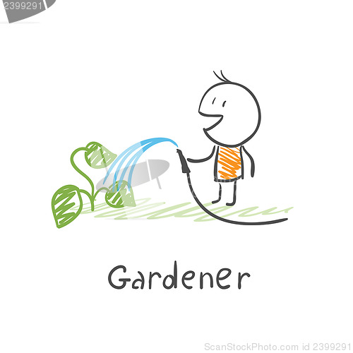 Image of Gardener watering plants