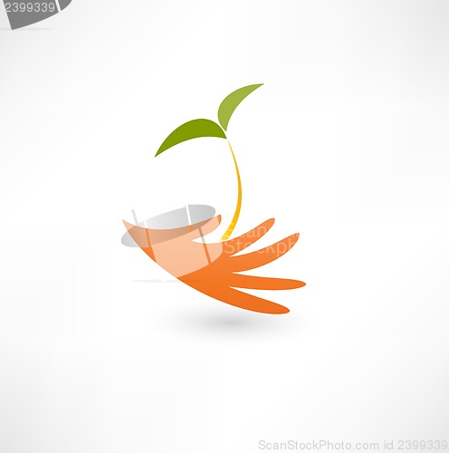 Image of Hands and plant icon
