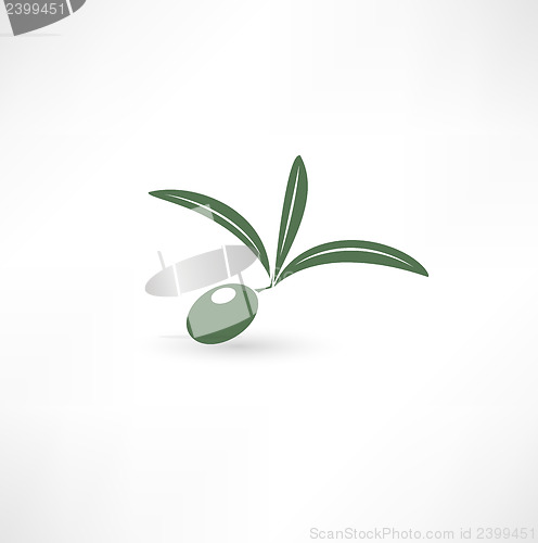 Image of Olive icon