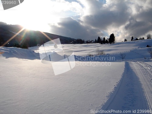 Image of Snow covered landscape