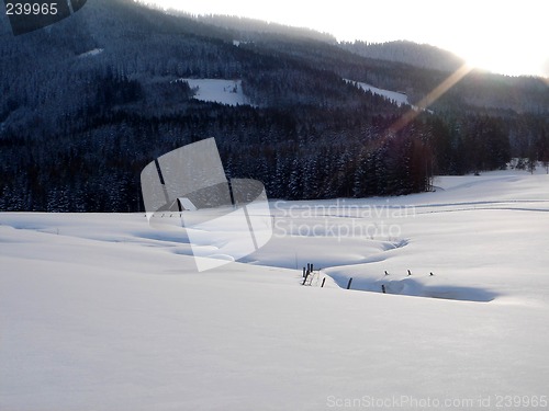 Image of Snow covered landscape