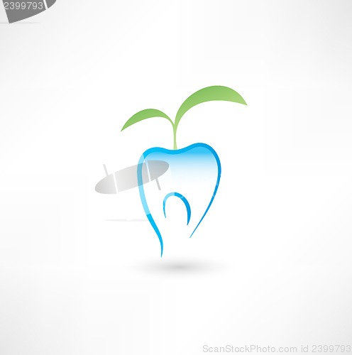 Image of Healthy tooth icon