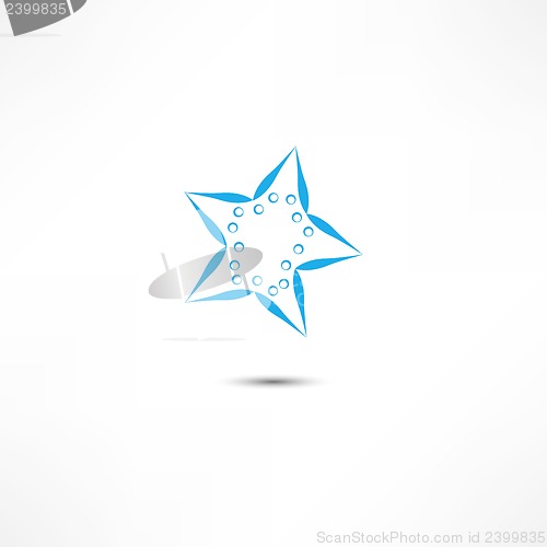 Image of starfish