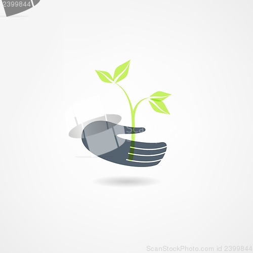 Image of plants icon