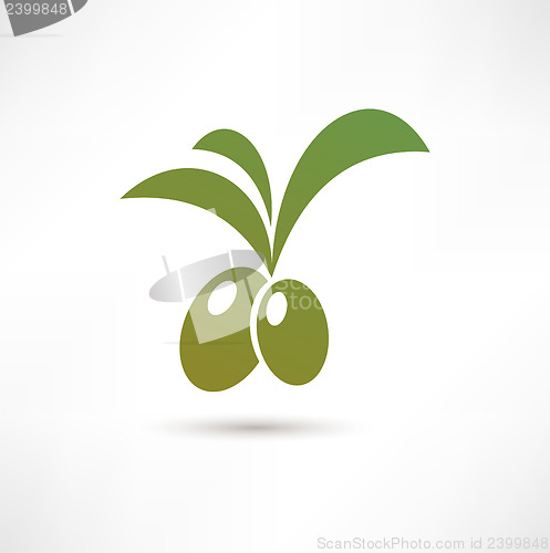 Image of Olive icon