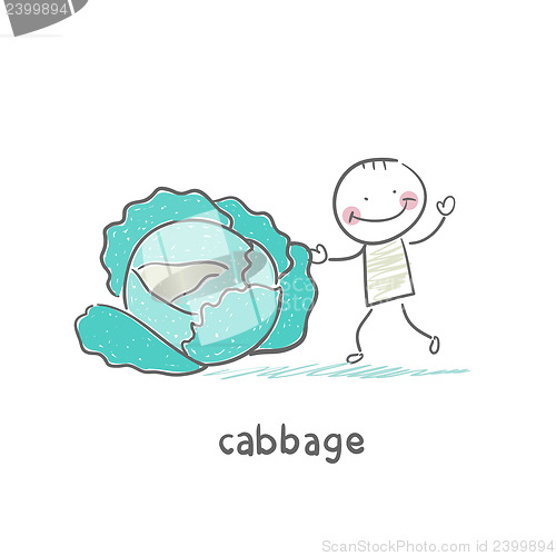 Image of Cabbage and people