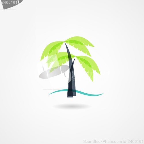 Image of palm icon