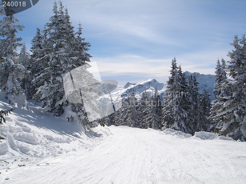 Image of Snowcovered landscape