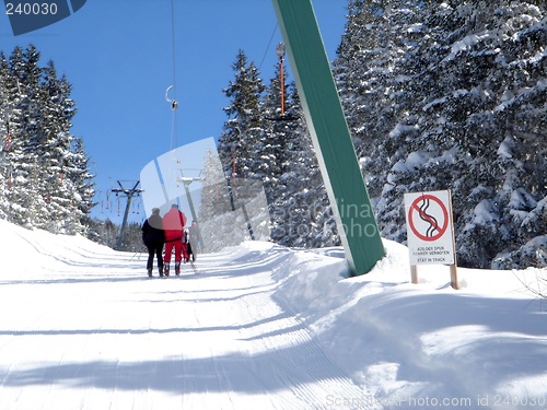 Image of Skiers on landscape