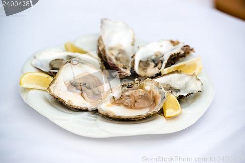 Image of Oysters and lemon