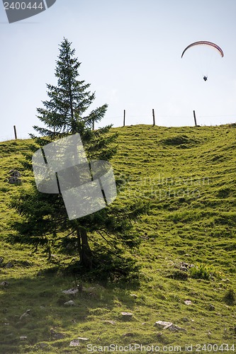 Image of Paraglider flying over the Bavarian Alps