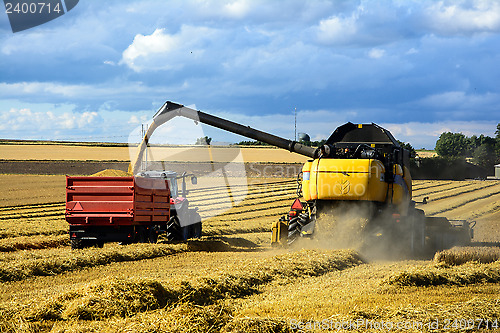 Image of harvest time