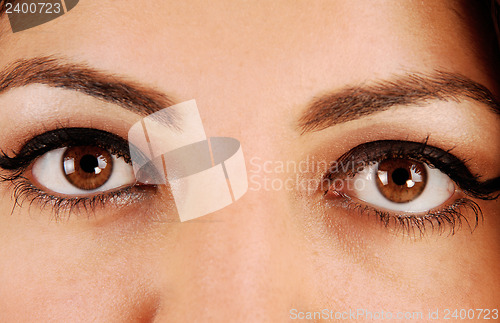Image of Gorgeous eyes.