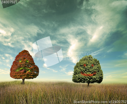Image of Trees On A Field