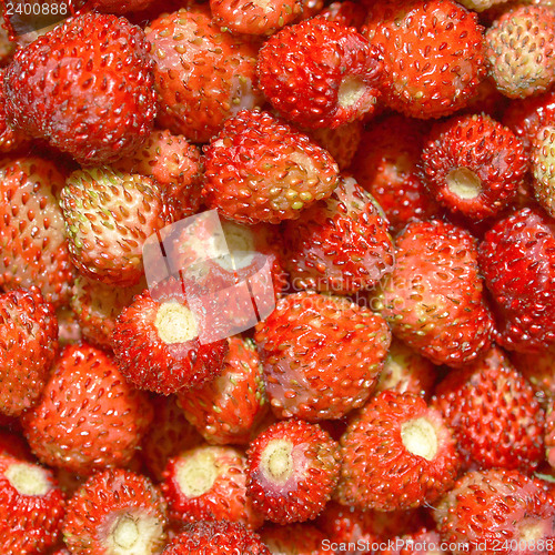 Image of Strawberries