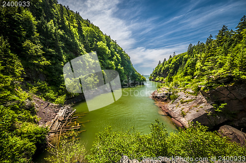Image of Point Wolf River