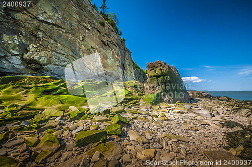 Image of Cape Enrage